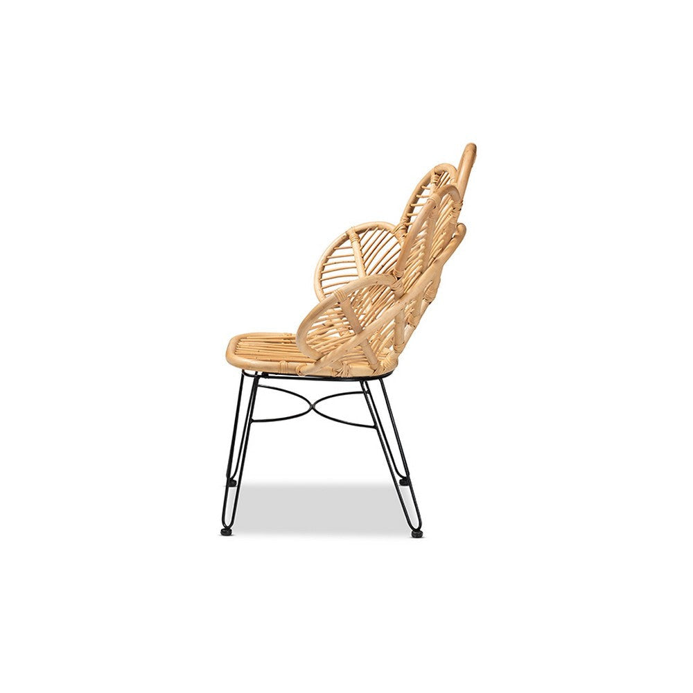 bali & pari Garan Modern Bohemian Natural Brown Rattan and Black Metal Accent Chair WHI-Leaf-Rattan-CC