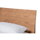 Baxton Studio Haines Modern and Contemporary Walnut Brown Finished Wood Full Size Platform Bed WHI-MG-0050-Ash-Walnut-Full