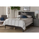 Baxton Studio Anthony Modern and Contemporary Dark Grey Oak Finished Wood King Size Panel Bed