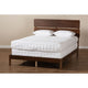 Baxton Studio Anthony Modern and Contemporary Walnut Brown Finished Wood Queen Size Panel Bed