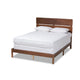 Baxton Studio Anthony Modern and Contemporary Walnut Brown Finished Wood Queen Size Panel Bed