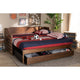 Baxton Studio Jameson Modern and Transitional Walnut Brown Finished Expandable Twin Size to King Size Daybed with Storage Drawer