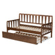 Baxton Studio Midori Modern and Contemporary Transitional Walnut Brown Finished Wood Twin Size Daybed with Roll-Out Trundle Bed