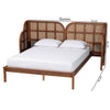 Baxton Studio Cascadia Mid-Century Modern Walnut Brown Wood Queen Size Wingback Platform Bed WHI-MG0225-Walnut-Queen
