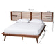 Baxton Studio Elvina Mid-Century Transitional Ash Walnut Wood Queen Size Platform Bed with Built-In Shelves WHI-MG0228-AshWalnut-Queen
