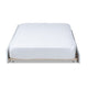Baxton Studio Mariana Classic and Traditional White Finished Wood Twin Size Trundle