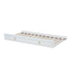 Baxton Studio Mariana Classic and Traditional White Finished Wood Twin Size Trundle