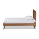 Baxton Studio Michi Modern and Contemporary Ash Walnut Finished Wood Twin Size Bed WHI-Michi-Ash-Walnut-Twin