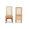 bali & pari Moscow Modern Bohemian Natural Brown Rattan and Walnut Brown Mahogany Wood 2-Piece Dining Chair Set WHI-Moscow-Teak-DC