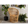 bali & pari Narva Modern Bohemian Natural Brown Rattan Accent Chair
