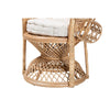 bali & pari Ediva Modern Bohemian Natural Brown Rattan Peacock Accent Chair WHI-Peacock-001-Rattan-AC