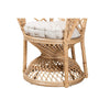 bali & pari Fedra Modern Bohemian Natural Brown Rattan Peacock Accent Chair WHI-Peacock-006-Rattan-AC