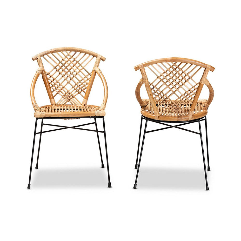 bali & pari Pro Modern Bohemian Natural Brown Rattan and Black Metal 2-Piece Dining Chair Set WHI-Pro-Rattan-Black-DC