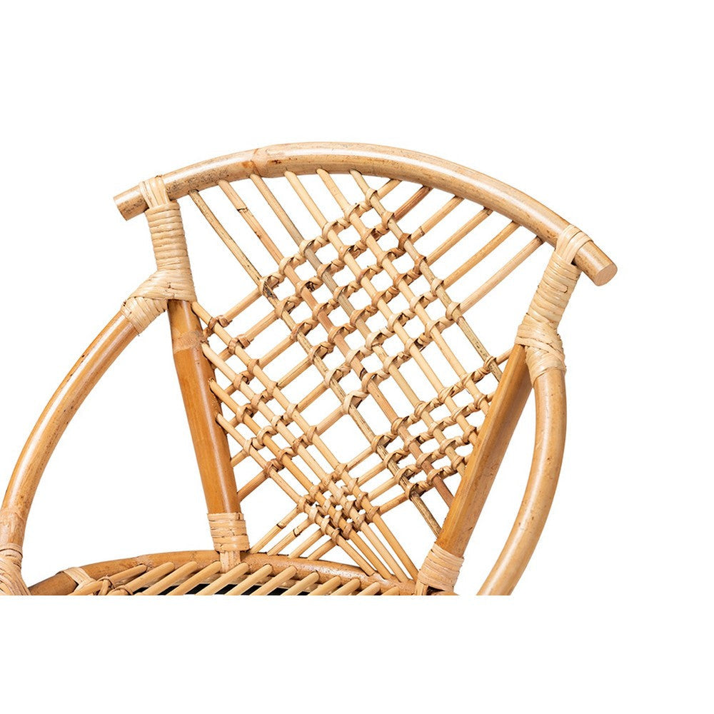 bali & pari Pro Modern Bohemian Natural Brown Rattan and Black Metal 2-Piece Dining Chair Set WHI-Pro-Rattan-Black-DC