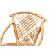 bali & pari Pro Modern Bohemian Natural Brown Rattan and Black Metal 2-Piece Dining Chair Set WHI-Pro-Rattan-Black-DC