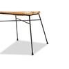 bali & pari Pro Modern Bohemian Natural Brown Rattan and Black Metal 2-Piece Dining Chair Set WHI-Pro-Rattan-Black-DC
