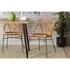 bali & pari Pro Modern Bohemian Natural Brown Rattan and Black Metal 2-Piece Dining Chair Set WHI-Pro-Rattan-Black-DC