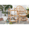 bali & pari Barras Modern Bohemian Natural Brown Finished Rattan 3-Tier Display Shelf WHI-RBS014-Rattan-Shelf