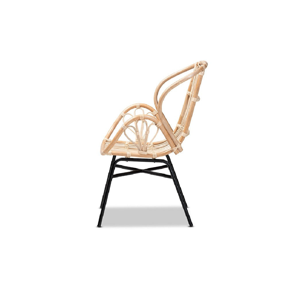 bali & pari Caelia Modern Bohemian Natural Brown Rattan and Black Metal Chair WHI-RMC033-Rattan-DC