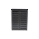 Baxton Studio Adalwin Modern and Contemporary Dark Gray 2-Door Wooden Entryway Shoe Storage Cabinet