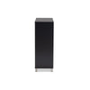 Baxton Studio Shirley Modern and Contemporary Dark Grey Finished 2-Door Wood Shoe Storage Cabinet with Open Shelves