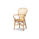 bali & pari Sheraton Modern and Contemporary Natural Finished Rattan Dining Chair WHI-Sheraton-Natural-DC