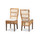 bali & pari Sullivan Modern Bohemian Natural Brown Rattan 2-Piece Dining Chair Set WHI-Sullivan-Rattan-DC