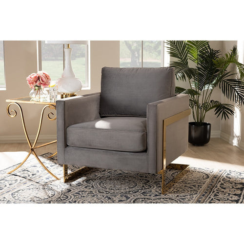 Baxton Studio Matteo Glam and Luxe Grey Velvet Fabric Upholstered Gold Finished Armchair