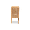 bali & pari Vivan Modern Bohemian Natural Brown Rattan 1-Door Nightstand WHI-Vivan-Mahogany-NS