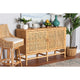 bali & pari Vivan Modern Bohemian Natural Brown Rattan and Mahogany Wood Storage Cabinet
