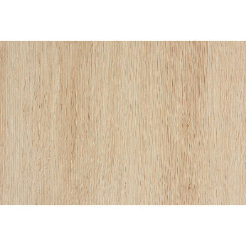 Baxton Studio Caterina Mid-Century Modern Transitional Natural Brown Finished Wood and Natural Rattan 1-Door End Table