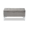 Baxton Studio Mabel Modern and Contemporary Transitional Grey Velvet Fabric Upholstered Silver Finished Storage Ottoman