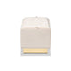 Baxton Studio Powell Glam and Luxe Beige Velvet Fabric Upholstered and Gold PU Leather Storage Ottoman