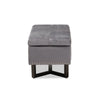 Baxton Studio Esther Modern and Contemporary Grey Velvet Fabric Upholstered and Dark Brown Finished Wood Storage Ottoman