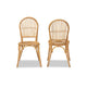 bali & pari Wina Modern Bohemian Natural Brown Rattan 2-Piece Dining Chair Set WHI-Wina-Rattan-DC