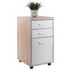 Kenner File Cabinet 2-Drawer Reclaimed Wood and White WIN-18316