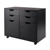 Halifax 2-Door, 4-Drawer Mobile Cabinet, Black