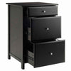 Delta Home Office File Cabinet Black WIN-22321