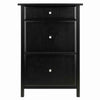 Delta Home Office File Cabinet Black WIN-22321