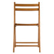 Robin 4-Pc Folding Chair Set Teak WIN-33415