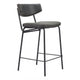 Charon Counter Stool (Set of 2) Vintage Black