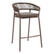 Skye Barstool (Set of 2) Brown