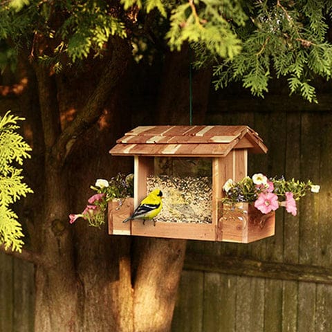 Cedar Bird Feeder with Planter