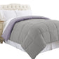 Genoa Twin Size Box Quilted Reversible Comforter The Urban Port Purple and Gray BM202045