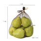 Decorative 6 Piece Artificial Pear in Plastic Net Bag Green - BM202283 BM202283