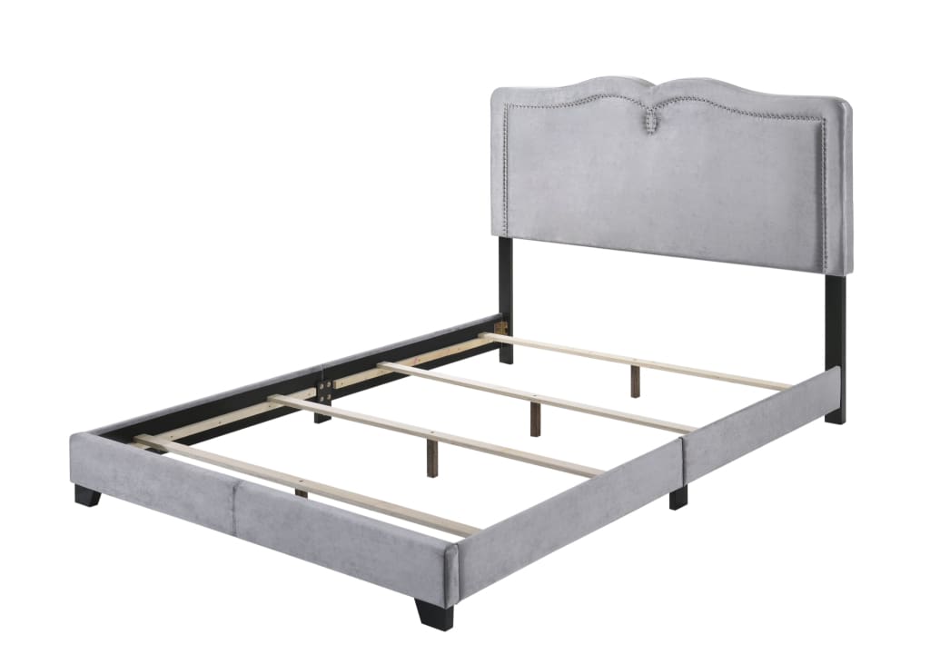Velvet Upholstered Wooden Queen Size Bed with Nail head Trims, Gray - BM204566 By Casagear Home
