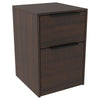 2 Drawer Dual Tone File Cabinet, Dark Brown By Casagear Home