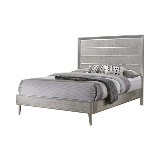 Panel Design Queen Bed with Plank Style Headboard and Mirror Inlay, Silver By Casagear Home