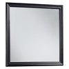 Wooden Frame Mirror with Mounting Hardware, Black and Silver By Casagear Home