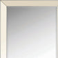 Rectangular Shaped Floor Mirror with Beveled Edge Silver By Casagear Home BM233236